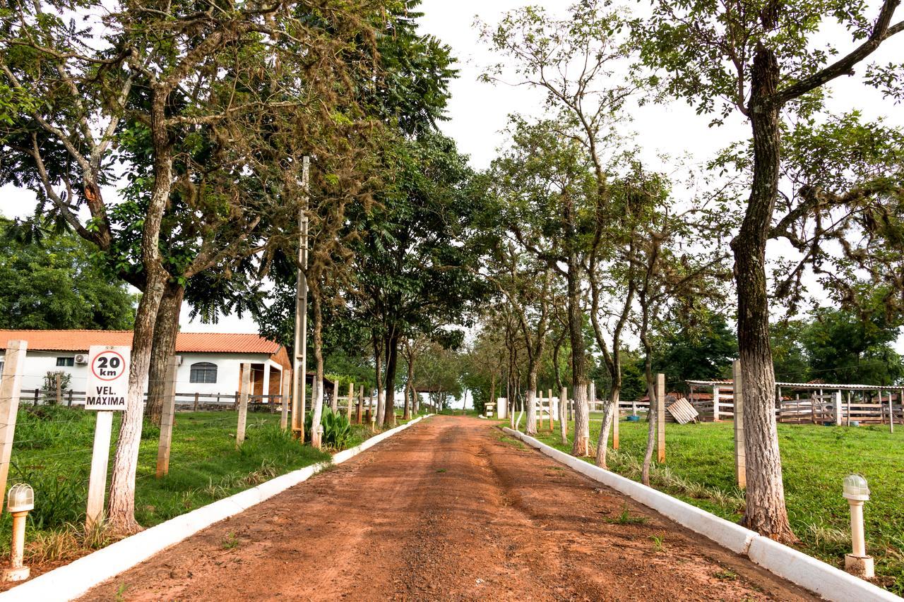 Hotel Fazenda Dos Ipes Olímpia Extérieur photo